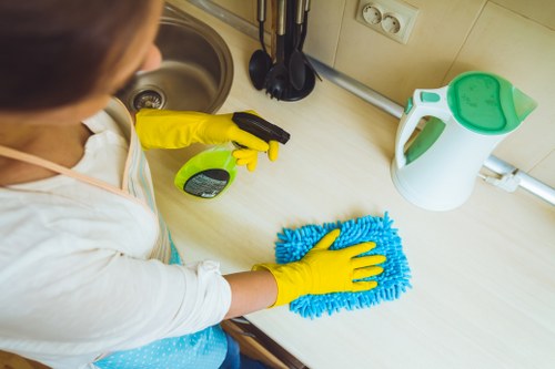 Oven cleaning appointment in a North West London home