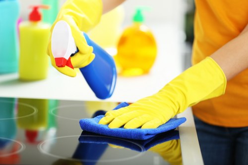 Regular domestic cleaning for a family property in NW6