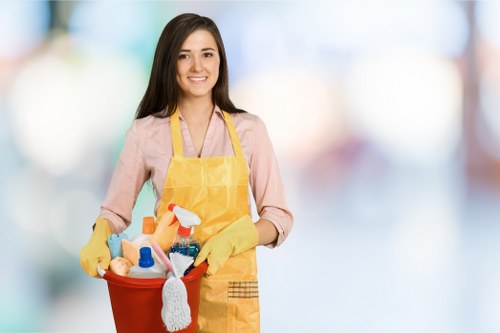 Household cleaning support for apartments and family homes in NW6