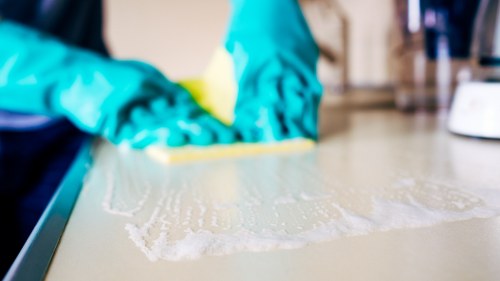 Professional pet stain treatment in a flat in NW6