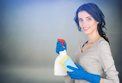 Deep cleaning a mattress in a local NW6 flat
